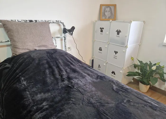 Ozzy Room